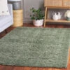 Lindsay Shag LNS560Y Green -The Rug District Shop lns560y 5 room